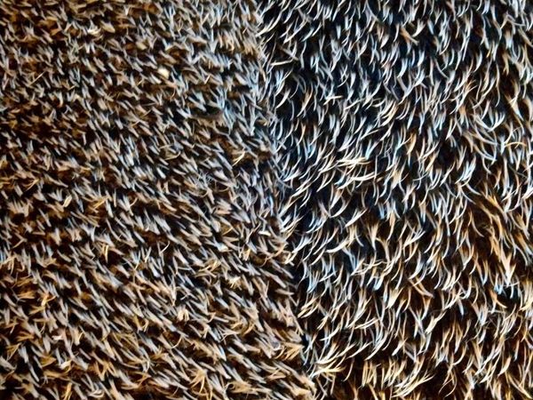 Поступление ёжикового мохера Sсhulte 9 мм, 17 мм | Ярмарка Мастеров - ручная работа, handmade
