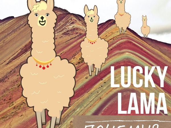 Lucky why. Lucky Lama. Лам лаки. Lucky llama вентилятор на шею,