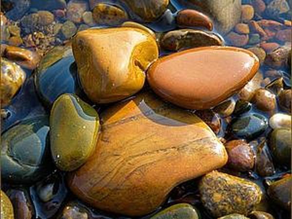 Поделки из морских камней – фото и идеи для творческих натур