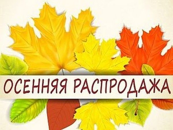 Осенняя Распродажа!!! | Ярмарка Мастеров - ручная работа, handmade