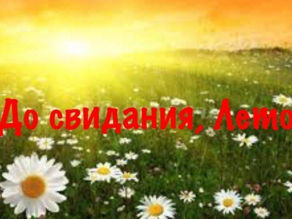 Аукцион на куколок-половинок