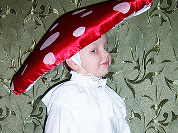 костюм гриба на детский утренник