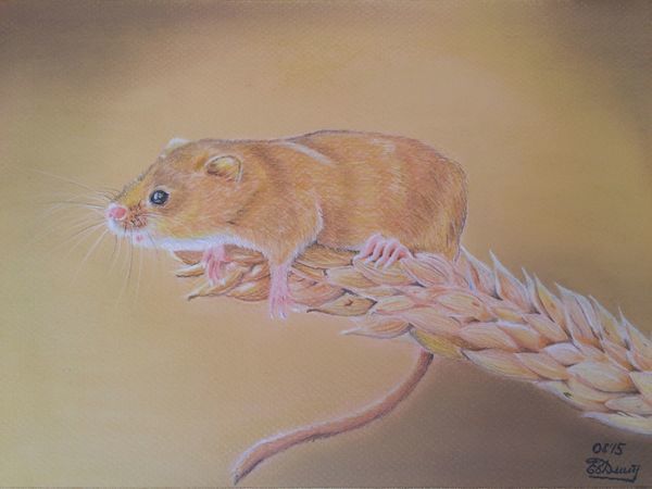 Рисуем пастелью мышку-малютку на колоске | Ярмарка Мастеров - ручная работа, handmade