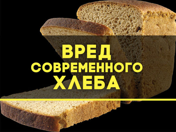 Кандидат медицинских наук о хлебе | Ярмарка Мастеров - ручная работа, handmade
