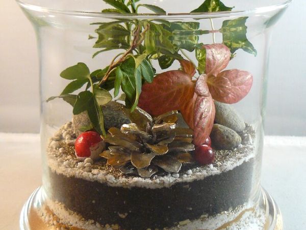 Флорариум или ящик Уорда | Ярмарка Мастеров - ручная работа, handmade Флорариум или ящик Уорда | Ярмарка Мастеров - ручная работа, handmade