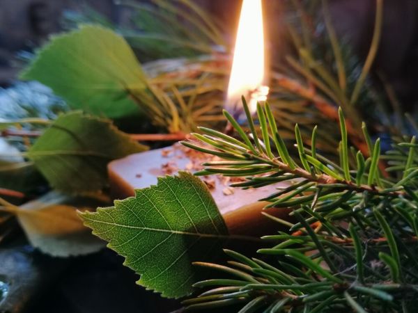 Тотемный аукцион (завершён) | Ярмарка Мастеров - ручная работа, handmade