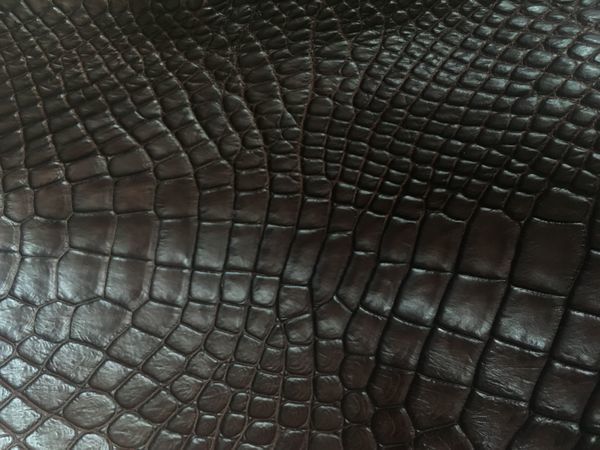 Лоскуты кожи крокодила коричневые | Ярмарка Мастеров - ручная работа, handmade