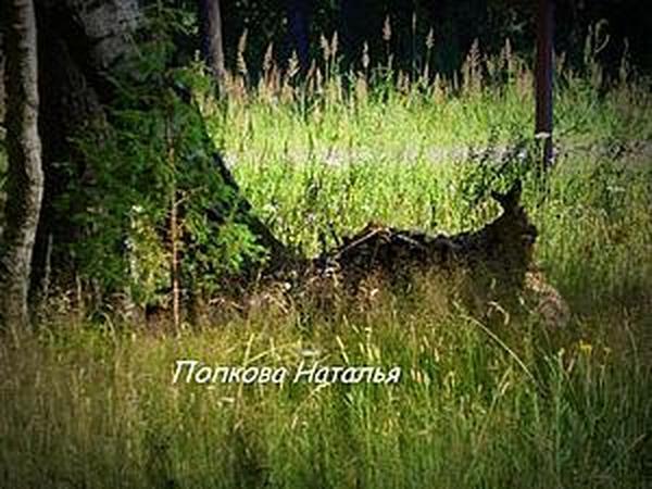 Аномальная зона.Фантастический рассказ. День пятый. | Ярмарка Мастеров - ручная работа, handmade