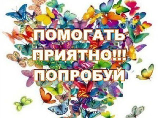 Срочная распродажа!!! Просто купите работы и вы очень поможете!!! | Ярмарка Мастеров - ручная работа, handmade