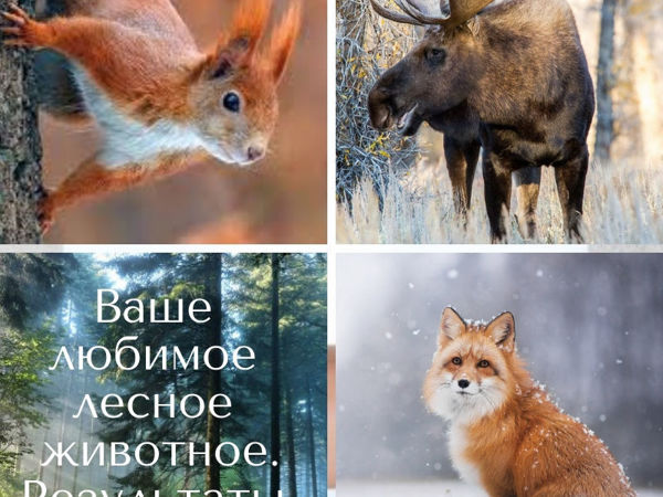 Да-дааам! Объявляю голосование закрытым!!! Встречайте результаты! | Ярмарка Мастеров - ручная работа, handmade