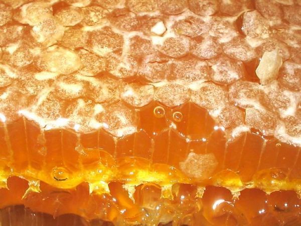 Сотовый мед | Ярмарка Мастеров - ручная работа, handmade