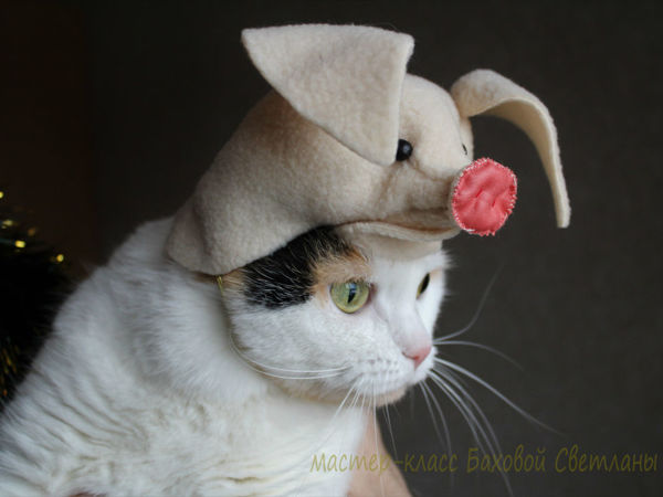 Шьем шапочку «Поросёнок» для кота | Ярмарка Мастеров - ручная работа, handmade