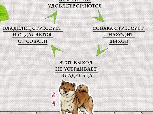 Трогательный стих о собаке...