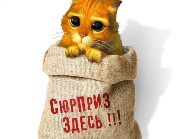 Аукцион — акция «Всё по 300!» Полная распродажа! | Ярмарка Мастеров - ручная работа, handmade