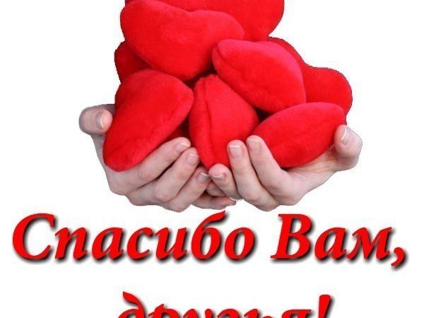 Сбор лотов на аукцион в помощь Наташе Лавка Либхен | Ярмарка Мастеров - ручная работа, handmade