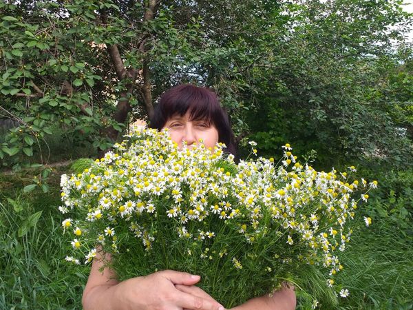 Свежайшие цветочные гидролаты — розы, жасмина, пиона, ромашки | Ярмарка Мастеров - ручная работа, handmade