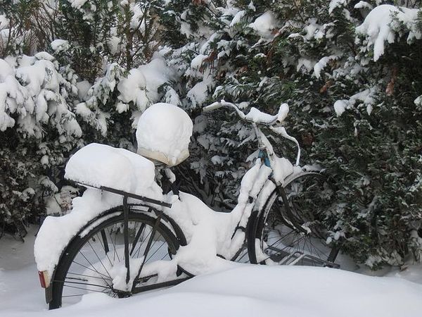 Предновогодний календарь блога! 21 декабря! Конкурс зимних фотографий!!! | Ярмарка Мастеров - ручная работа, handmade