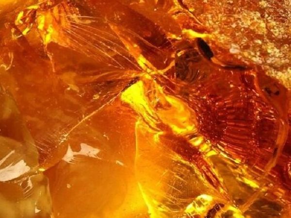 Новая коллекция магазина: «Янтарь — улыбка солнца» | Ярмарка Мастеров - ручная работа, handmade