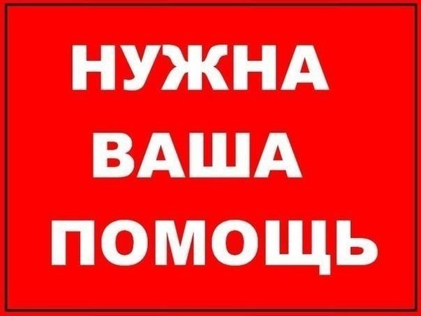 Сбор лотов на Благотворительный аукцион в поддержку мастера Анжелики Добренчук и ее сына | Ярмарка Мастеров - ручная работа, handmade