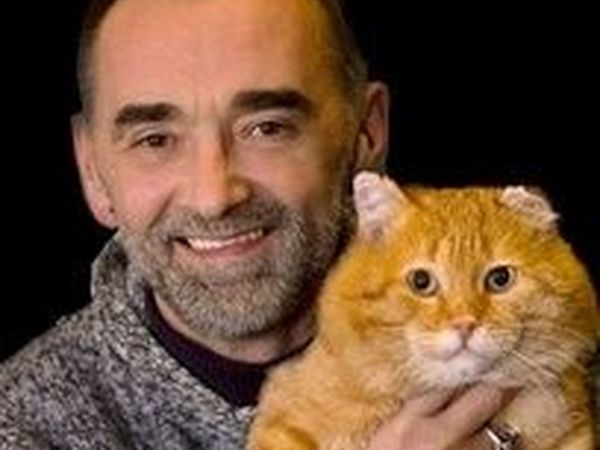 Кошачьи сказки художника Александра Маскаева | Ярмарка Мастеров - ручная работа, handmade Кошачьи сказки художника Александра Маскаева | Ярмарка Мастеров - ручная работа, handmade