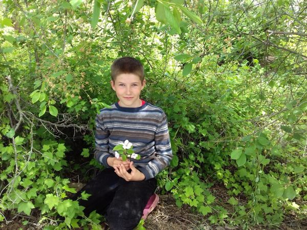 Сеем, сеем, посеваем, и добра вам всем желаем! Часть 5 | Ярмарка Мастеров - ручная работа, handmade