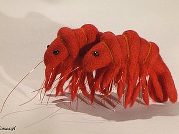 Мастер-класс по созданию войлочных креветок | Ярмарка Мастеров - ручная работа, handmade