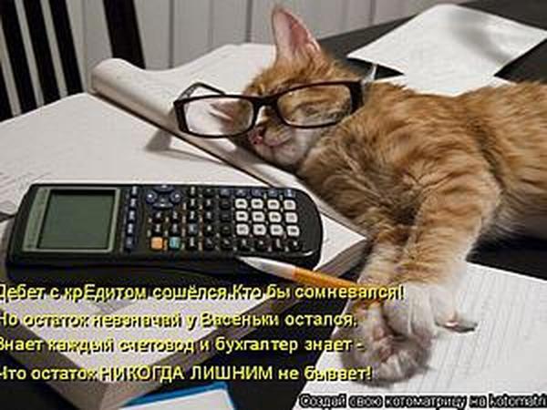 Бухгалтерия -это диагноз. | Ярмарка Мастеров - ручная работа, handmade
