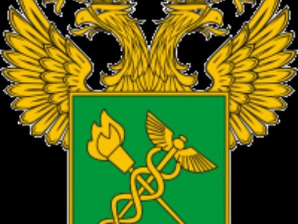 DURA LEX, SED LEX , маленький ликбез. или чтобы не попасть впросак. | Ярмарка Мастеров - ручная работа, handmade