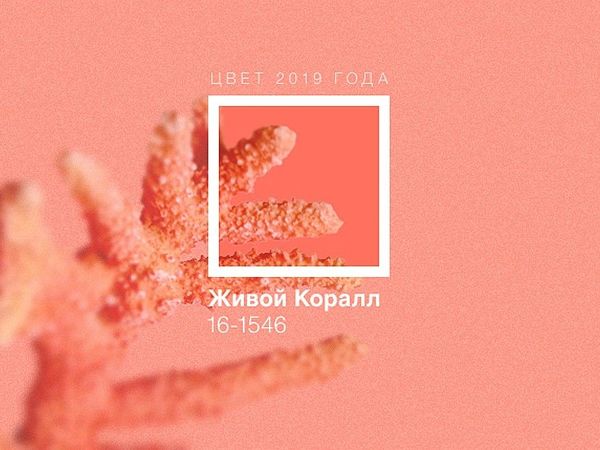 Живой коралл (living coral) — новое солнце 2019 года! | Ярмарка Мастеров - ручная работа, handmade