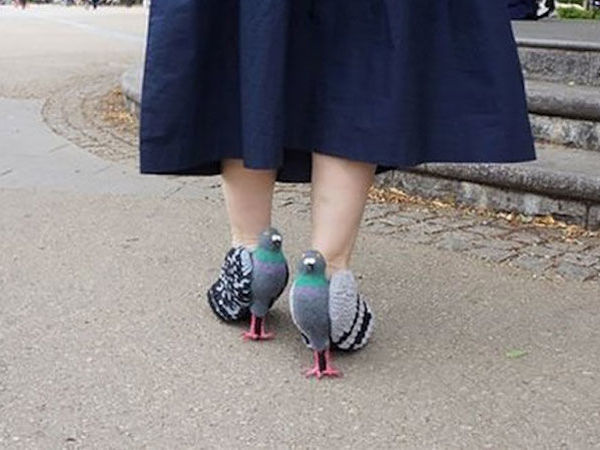 Туфли из голубей
