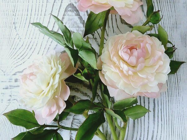 Пионы из холодного фарфора | Ярмарка Мастеров - ручная работа, handmade