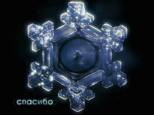 Блог Индивидуальная косметика "Рада" nata-prirode на Ярмарке Мастеров