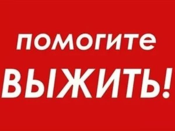 Крик О Помощи — Спасибо Всем за Поддержку! | Ярмарка Мастеров - ручная работа, handmade