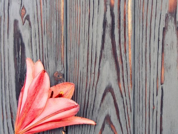Wooden Photo Background in 8 Steps | Livemaster - handmade