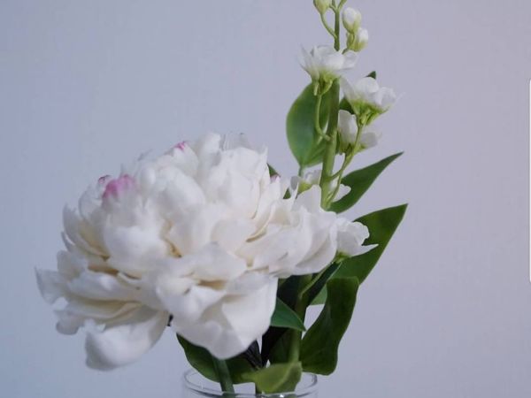 Пион из Холодного Фарфора | Ярмарка Мастеров - ручная работа, handmade