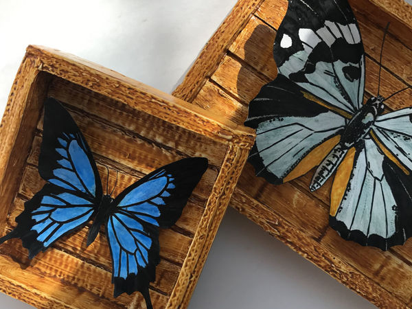 Бабочка из бумаги своими руками — шаблоны и трафареты