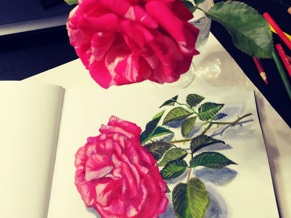 Роза в саду | Ярмарка Мастеров - ручная работа, handmade