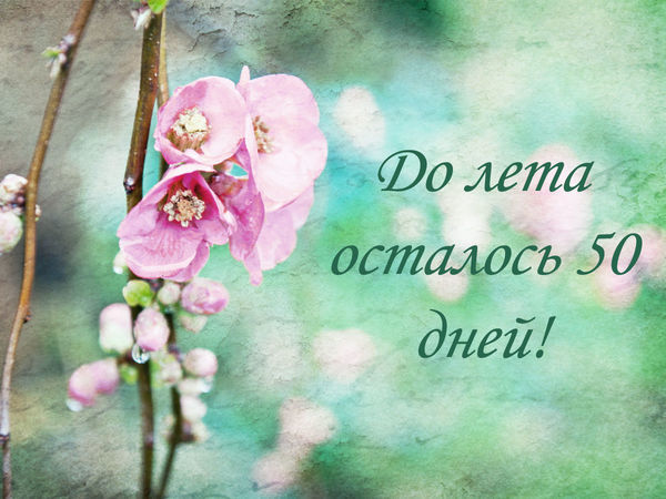 Конкурс коллекций