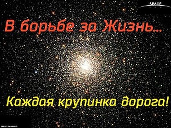 Цена Жизни Ребенка 1 млн.рублей???? Сбор приостановлен!! Ребенок выехал на лечение!! УРА!!! | Ярмарка Мастеров - ручная работа, handmade