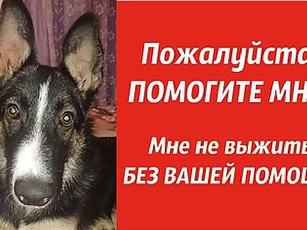Рекрутеры открытка, помогите выжить картинки