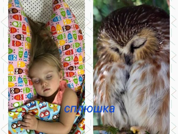 Подушка-сплюшка Совушка | Ярмарка Мастеров - ручная работа, handmade Подушка-сплюшка Совушка | Ярмарка Мастеров - ручная работа, handmade