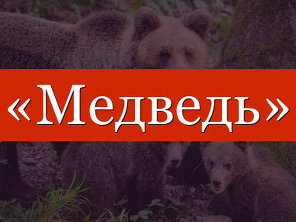 Слово медведь. Надпись медведь. Лова медведя. Медведь слова красивее.