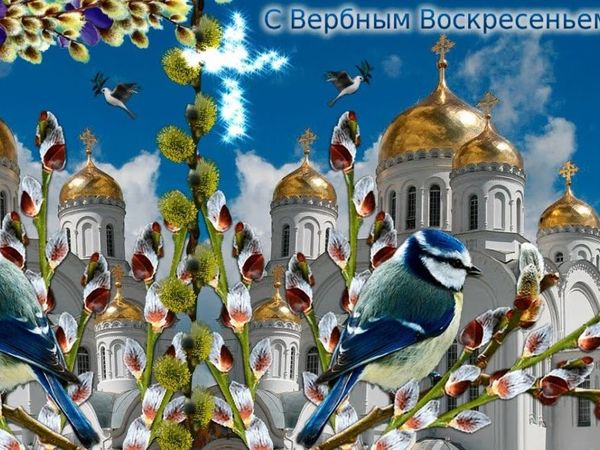 Вербное Воскресенье. Открытки поздравления гиф фото скачать