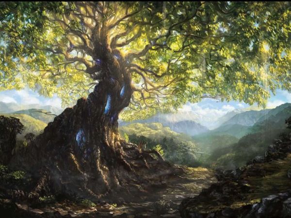 Волшебные деревья Изображения – скачать бесплатно на Freepik