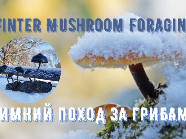 Делаем кованые поганки — ключницу | Ярмарка Мастеров - ручная работа, handmade Делаем кованые поганки — ключницу | Ярмарка Мастеров - ручная работа, handmade