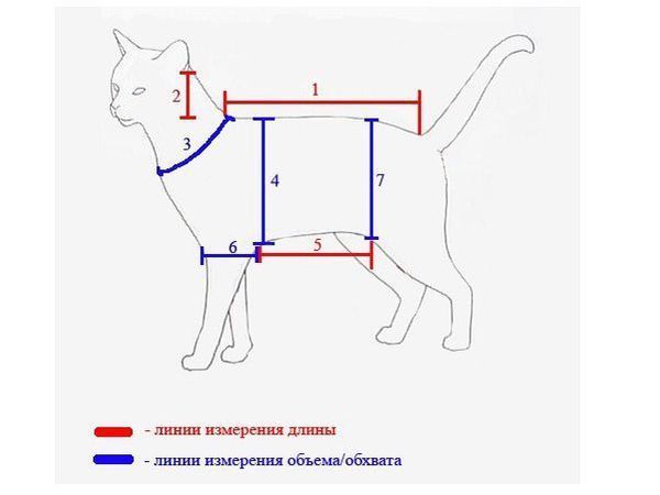 Шью кофту для кошки как из магазина