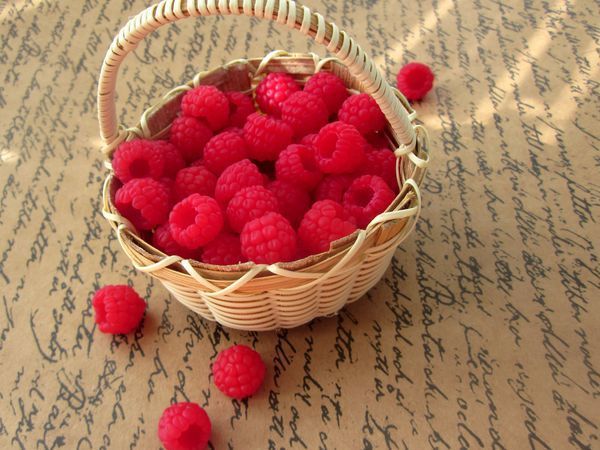 Simple and Easy: Raspberries from Polymer Clay | Livemaster - handmade