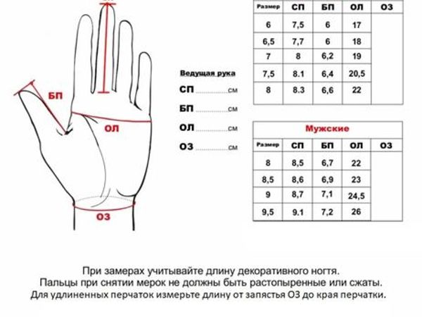 Выкройка перчаток без пальцев (перчаток водителя) от dr-cos