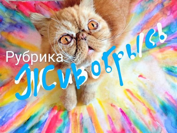 Рисуем акварелью радужную кошку | Ярмарка Мастеров - ручная работа, handmade