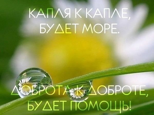 каждая капля помощи бесценна картинка такса